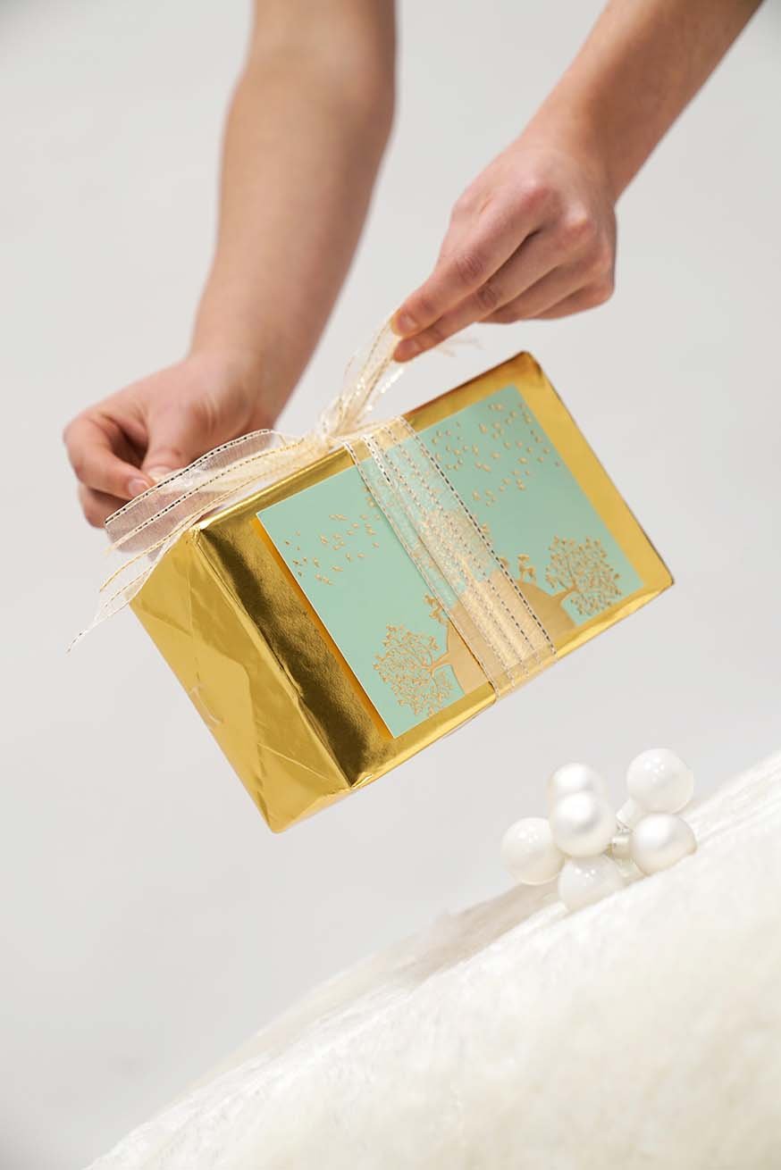 Fachtrageberaterzertifizierung - Premium Paket - KOKADI